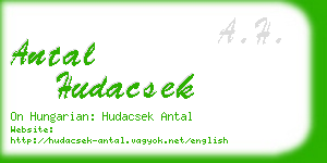 antal hudacsek business card
